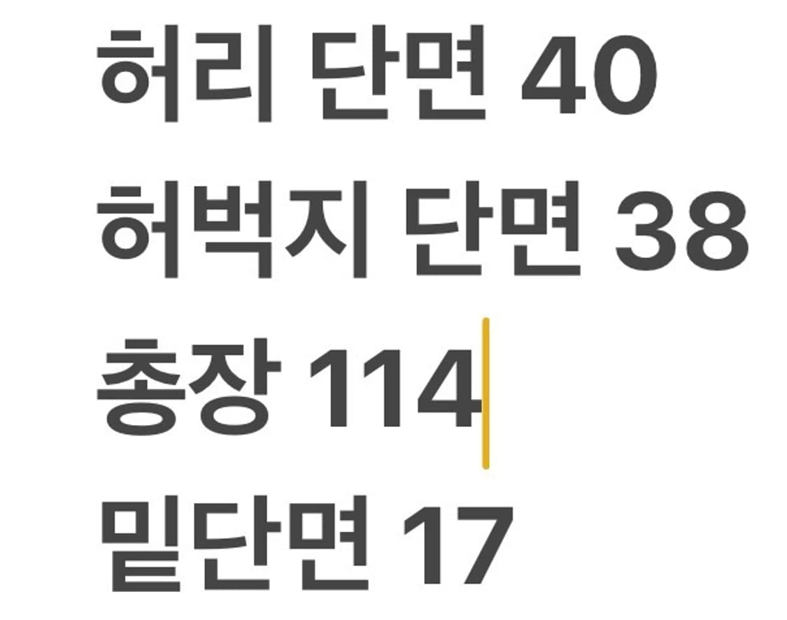 [정품/XL] 노스페이스 기능성 카고 바지 회색 b19 상품이미지8