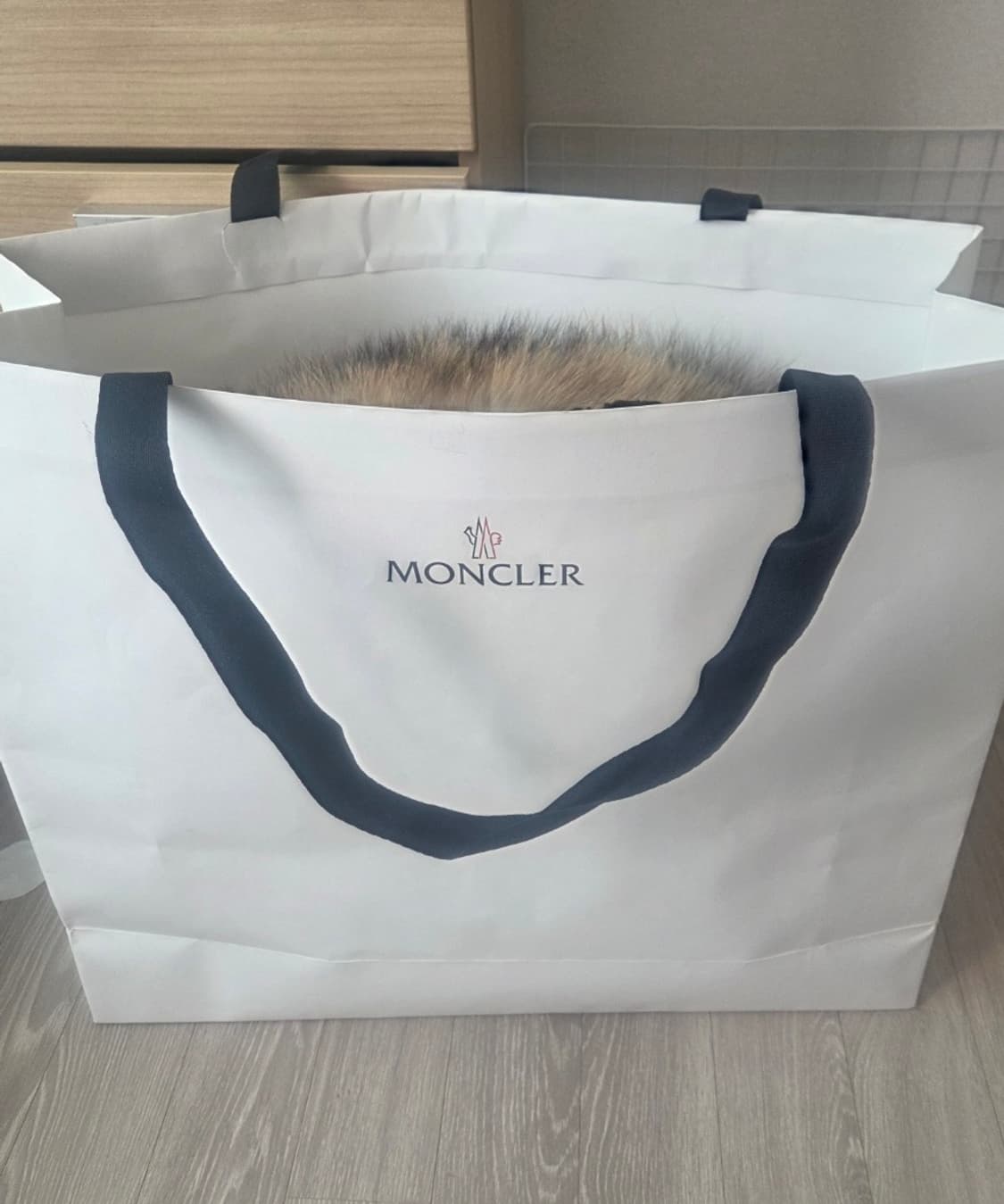 몽클레어 여성 클로에쎄 구 클로에롱 다운 패딩 상품이미지4