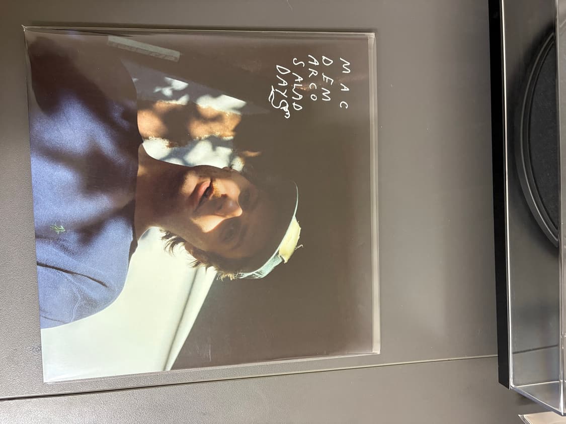 맥 드마르코 mac demarco salad days lp 바이닝 상품이미지1