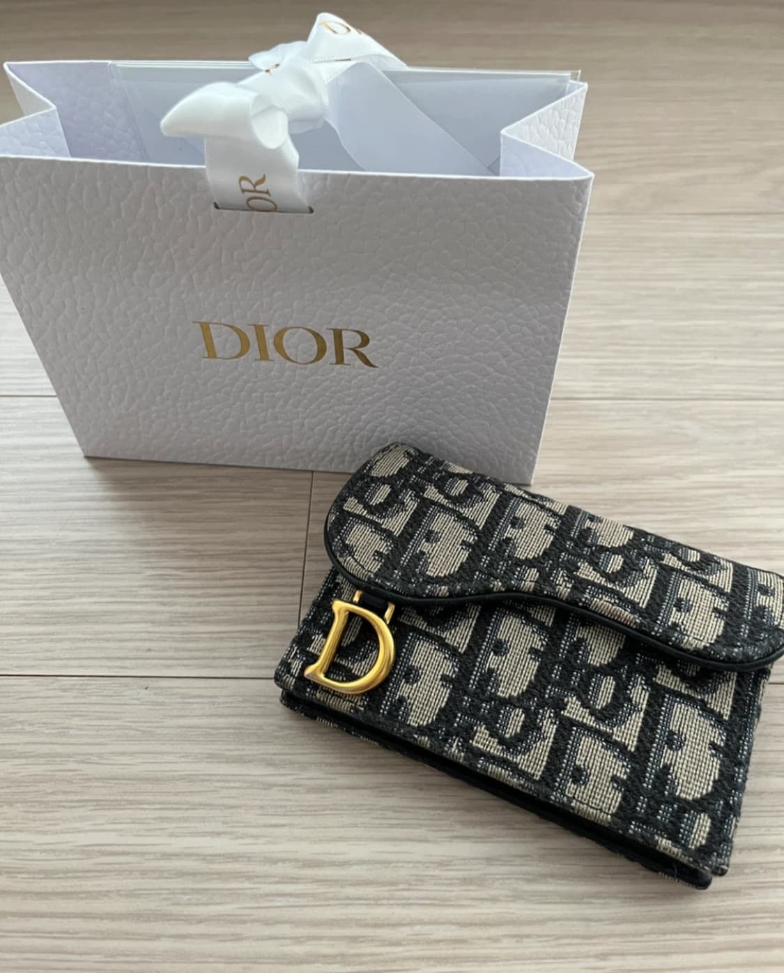 디올 오블리크 새들 카드지갑 상품이미지1