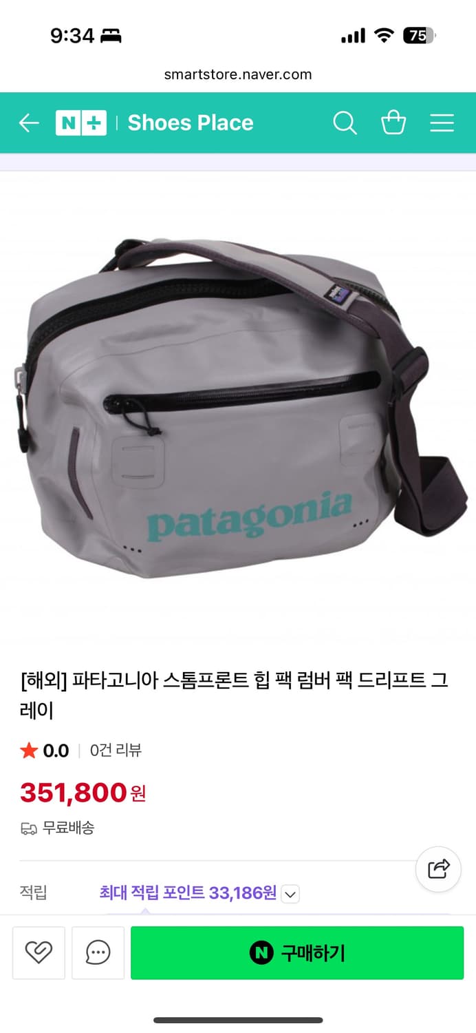파타고니아 스톰 프론트 힙팩 10L 새상품 상품이미지9