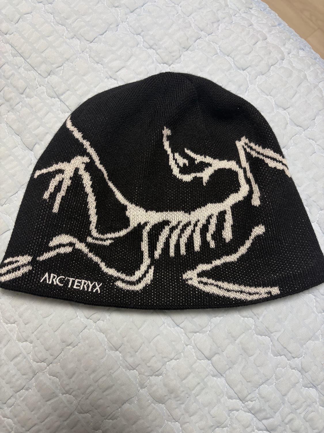 아크테릭스 비니 상품이미지1