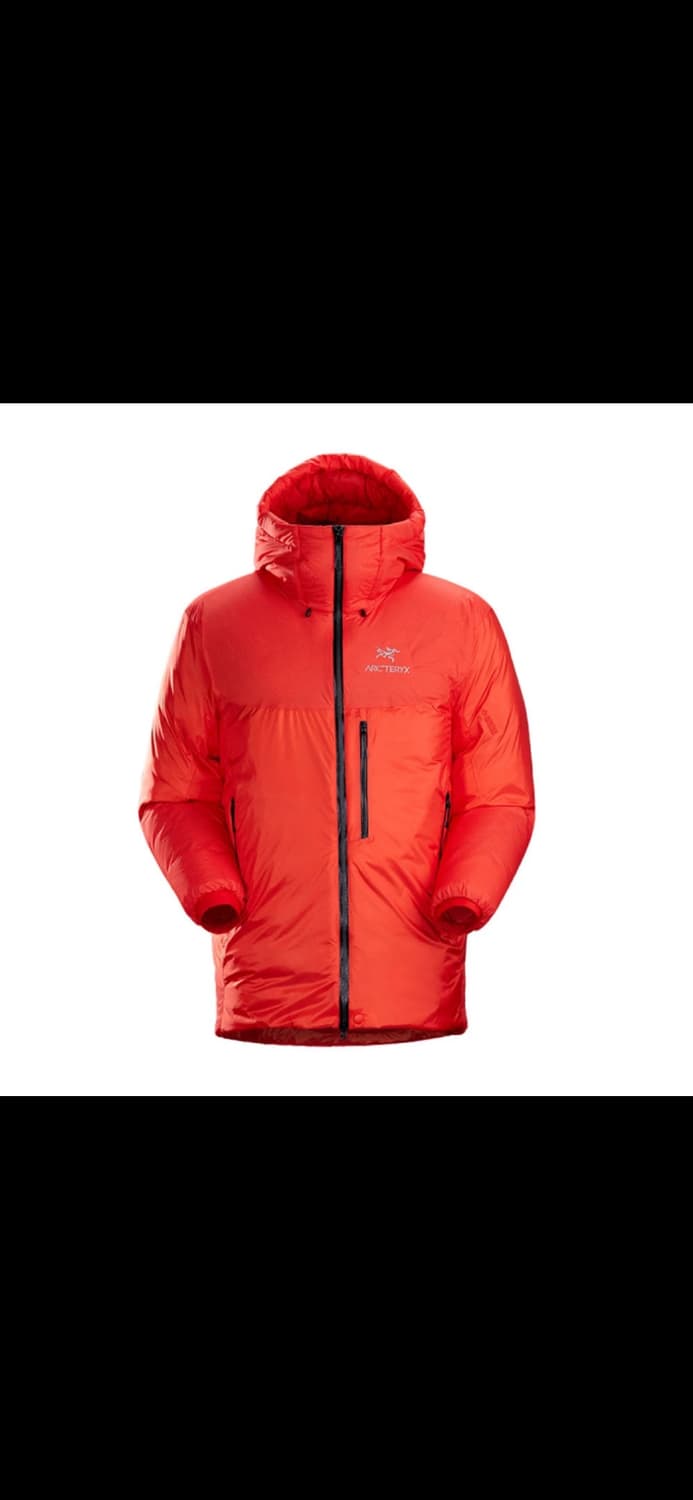 아크테릭스 알파 파카 남성 Dynasty LG 새상품 상품이미지6