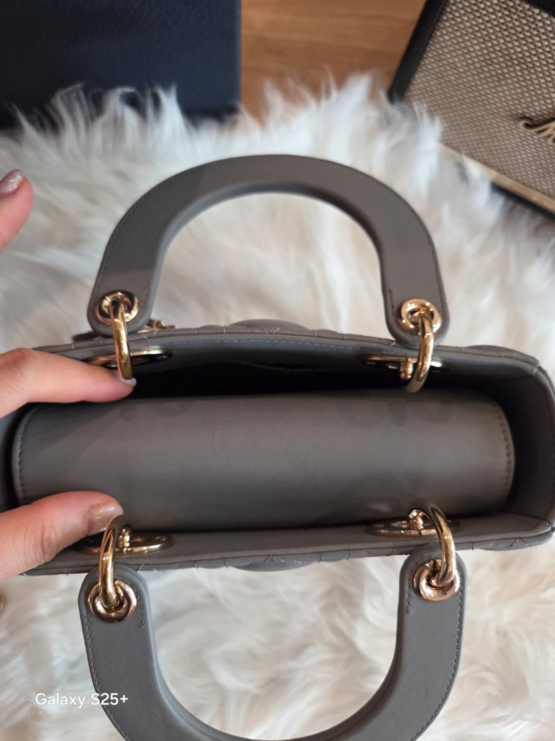 디올 레이디백 최신형 디자이너 엘레나 에디션 상품이미지3