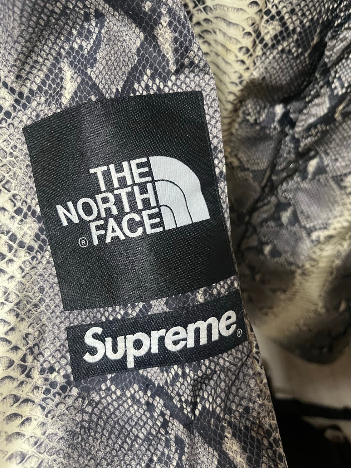 18ss 슈노뱀피 코치자켓 상품이미지4