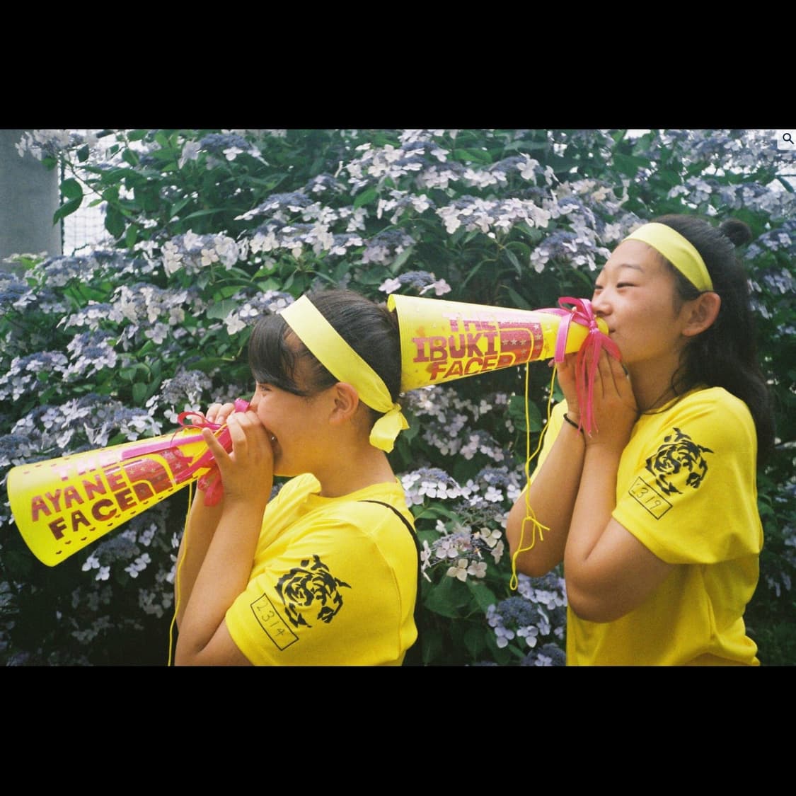 필카 캐논 오토보이 d5 (안유진 카메라) 상품이미지3