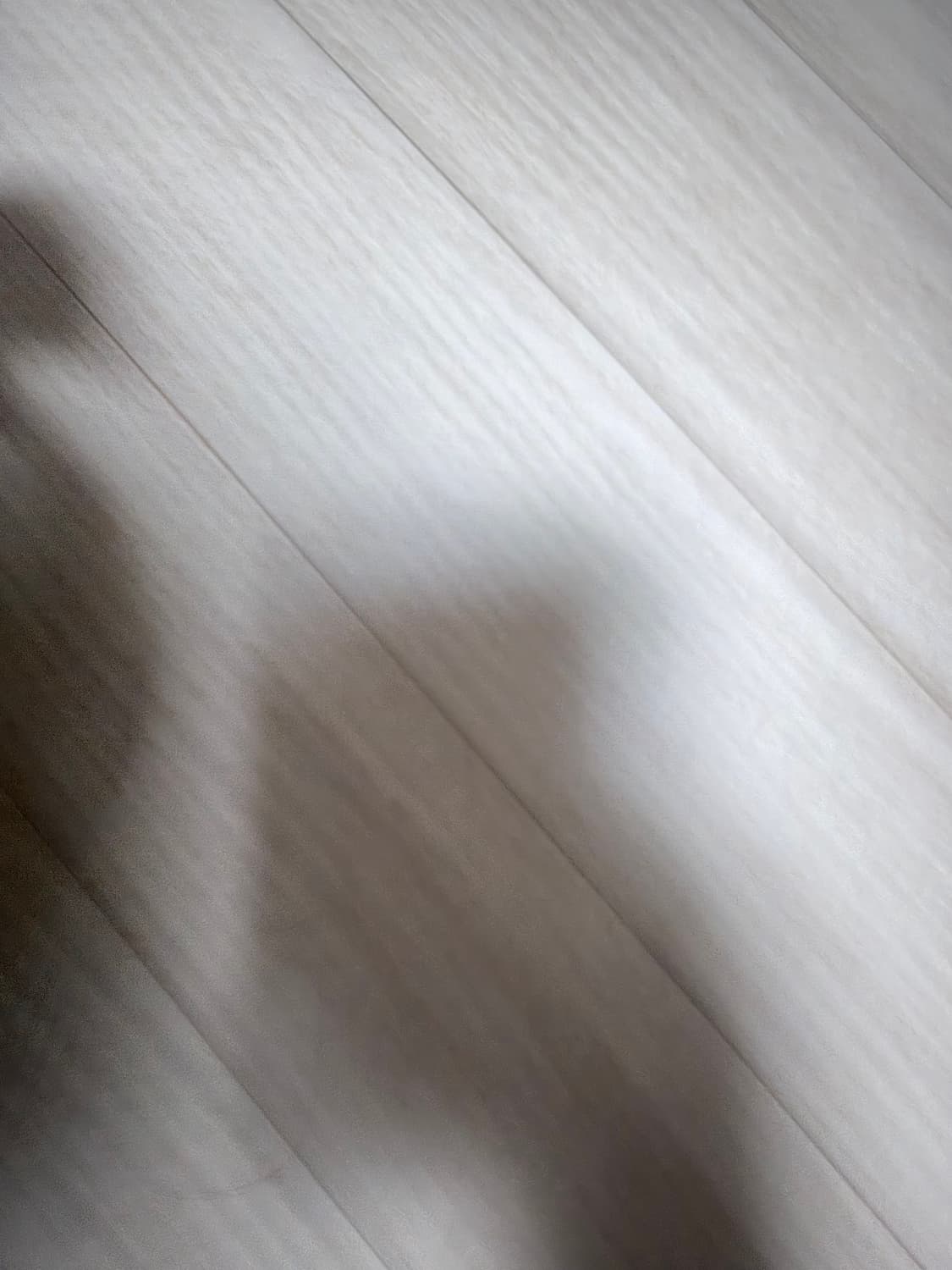 크롬하츠 세메터리 크로스 트러커햇 상품이미지3