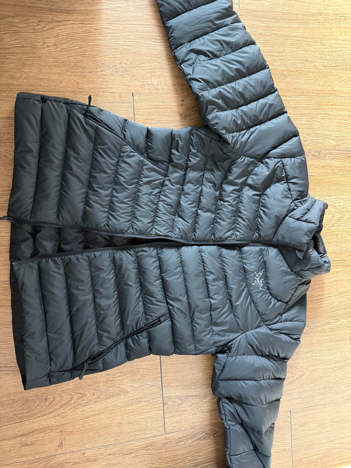 25fw 아크테릭스 세륨 여성 상품이미지2