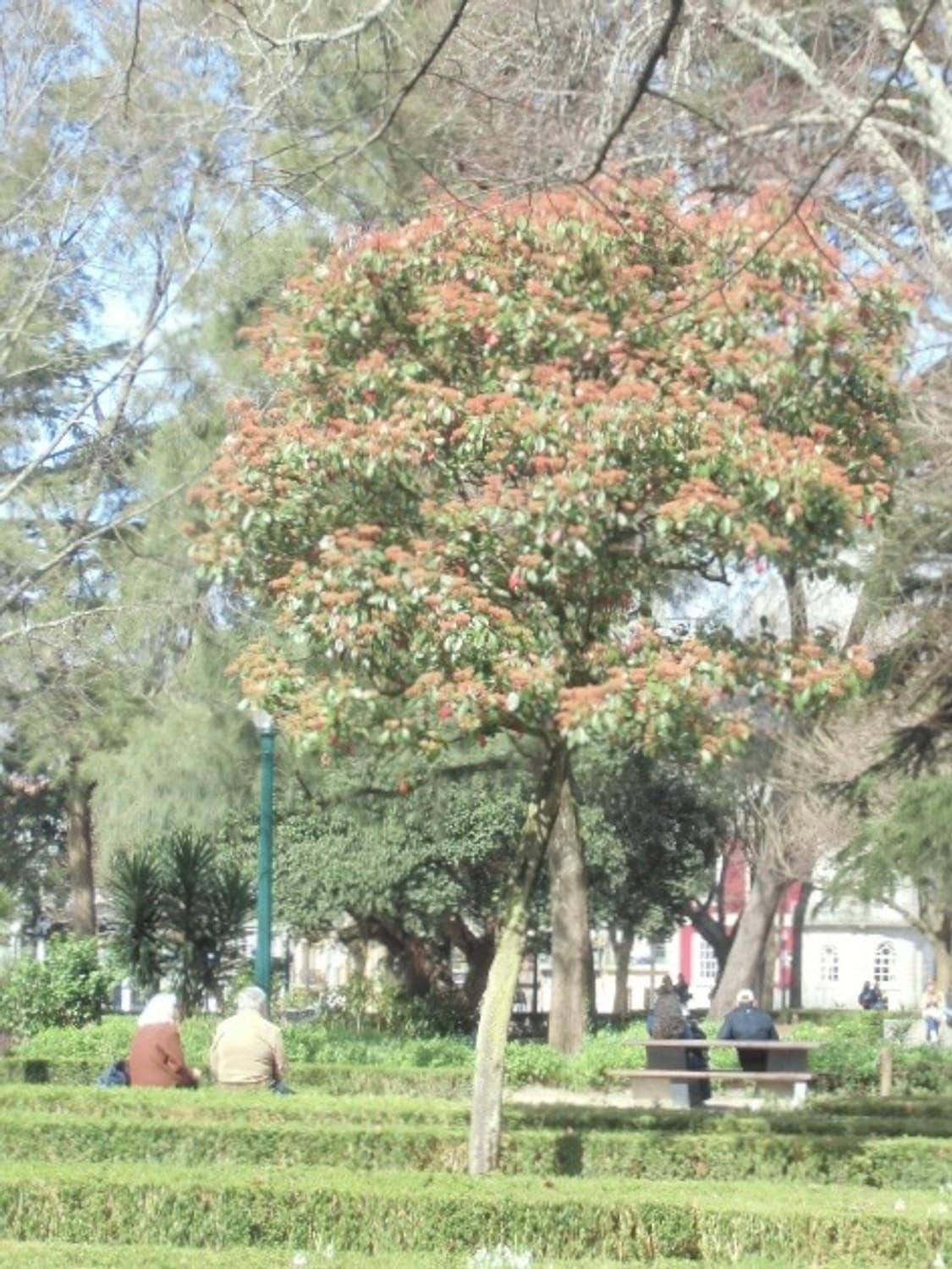 (소프트포커스) 니콘 쿨픽스 s2700 디지털카메라 빈티지디카 상품이미지8