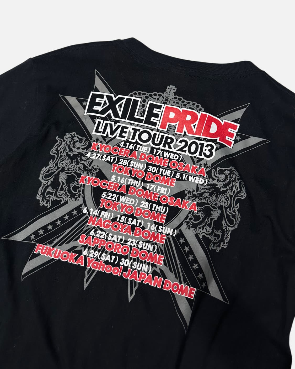 EXILE PRIDE 2013 tour official t-shirt 상품이미지5