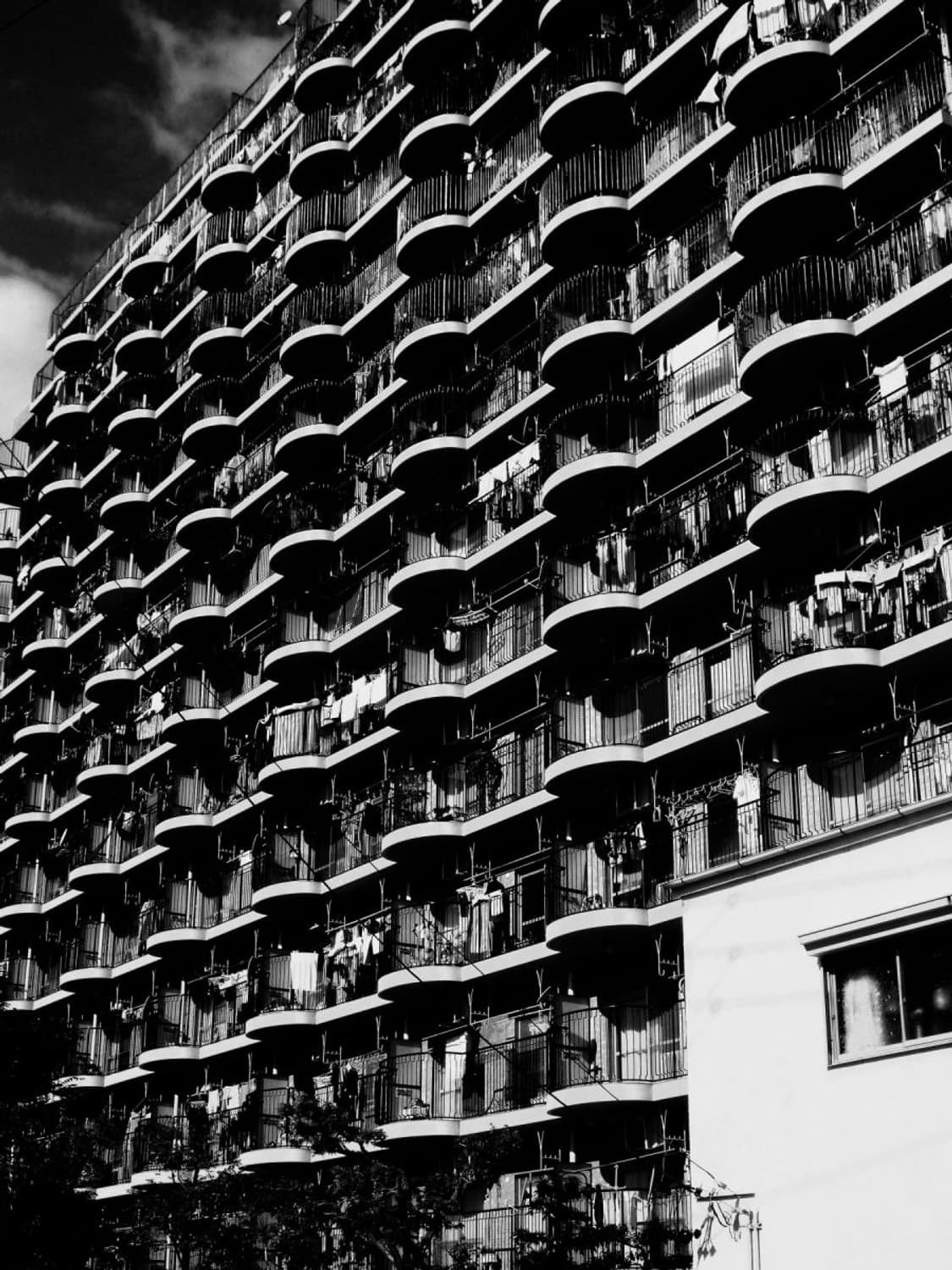 빈티지 디카 모노크롬 상품이미지1