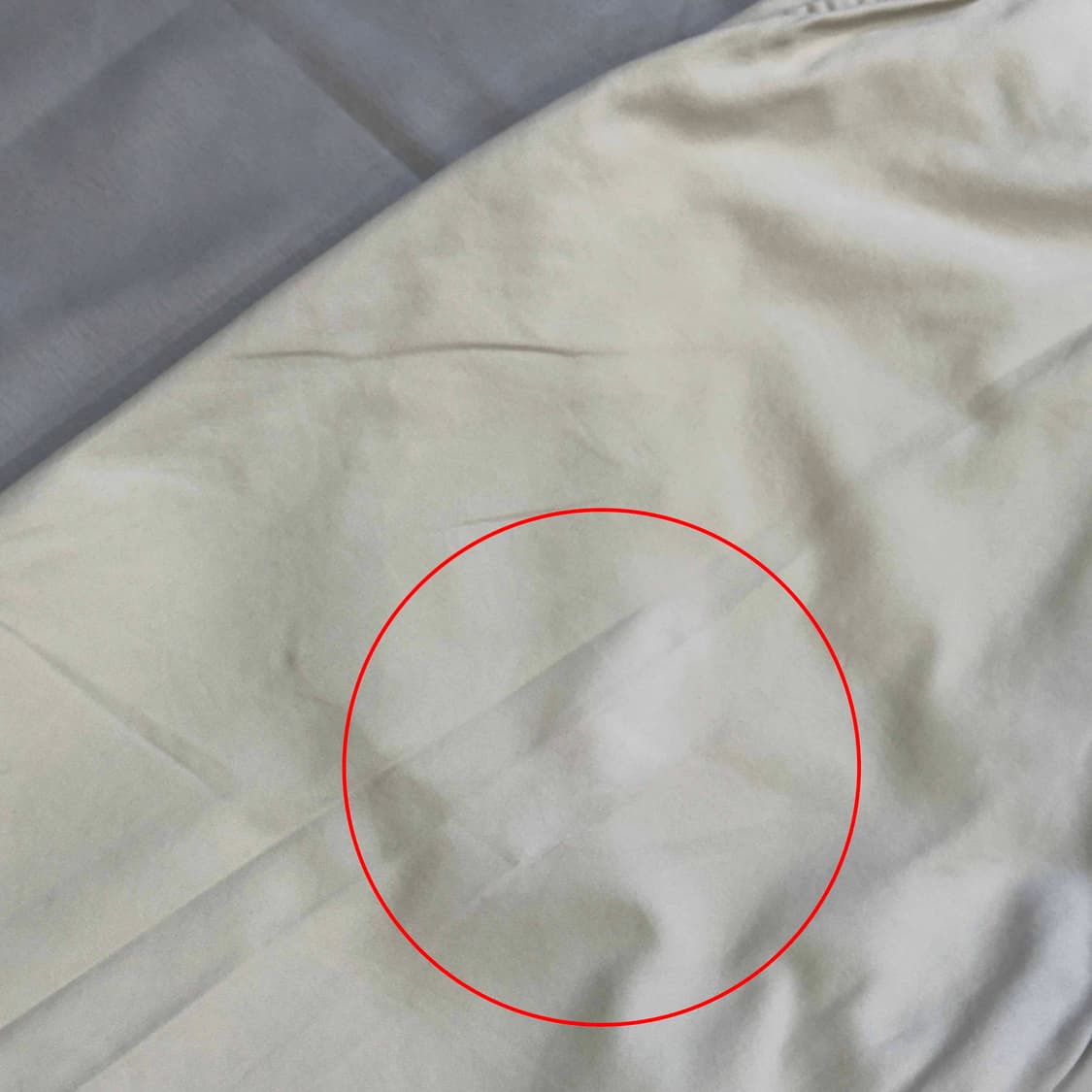 폴로 랄프로렌 노턱 치노 반바지 36 상품이미지2
