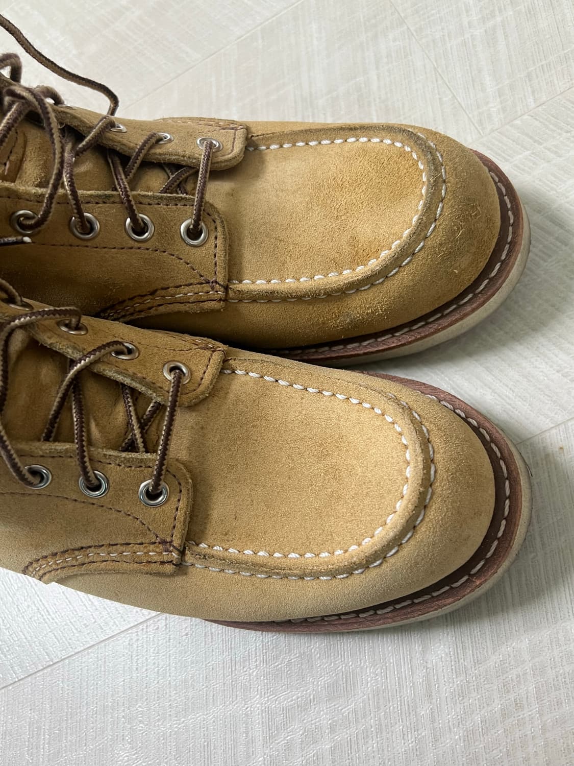 260) 레드윙  목토 8833 3D 상품이미지3