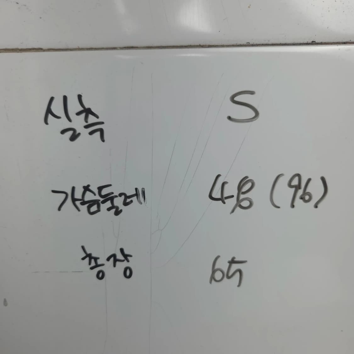 여S CC 콜렉트 핑크 스트라이프 반팔 카라 티셔츠 상품이미지7