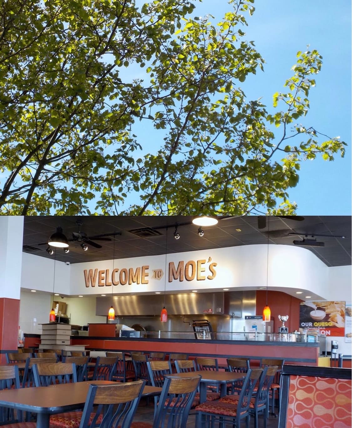 희귀&제니디카) 니콘 쿨픽스 Coolpix S02 상품이미지6