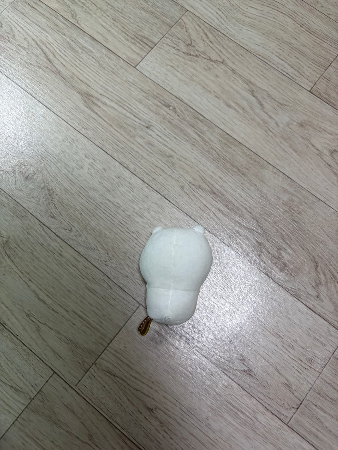나가노마켓 농담곰 인형 상품이미지2