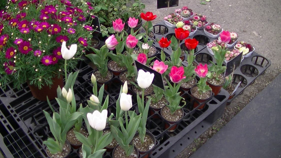 JVC gz-hm670 캠코더 작례있음 상품이미지7