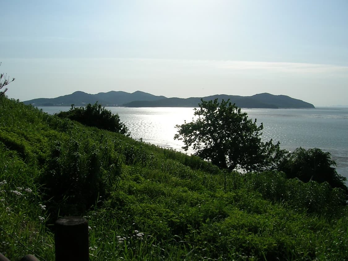 니콘쿨픽스5600 / 작례O 상품이미지8