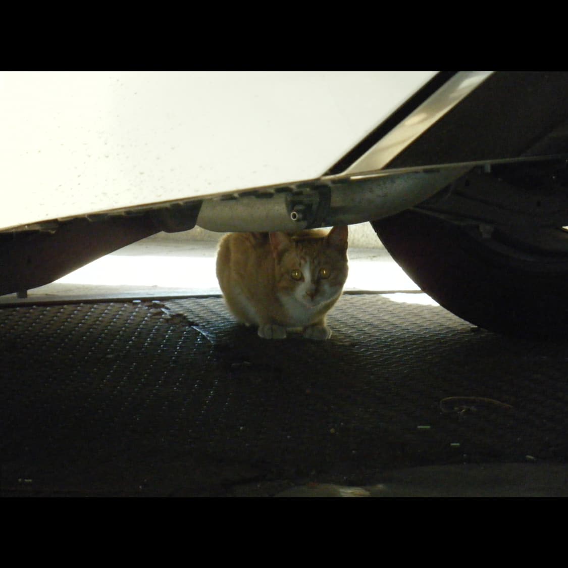 작례⭕️ 후지 파인픽스 Z 250 FD 상품이미지4