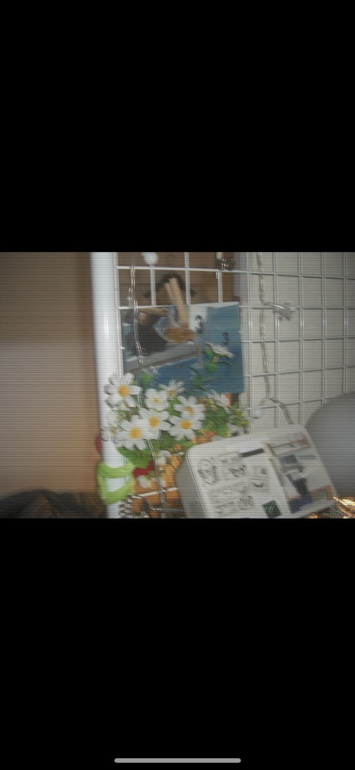 카시오 EX-Z1000 / 고화소 빈티지 감성 디카 상품이미지2