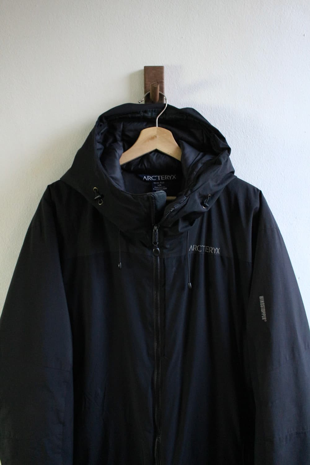 아크테릭스 피션 LT 후디 자켓 상품이미지3