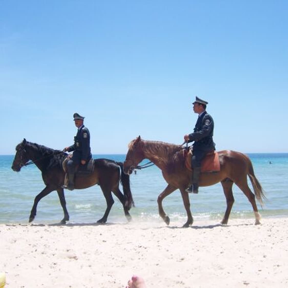 Kodak easyshare V603 코닥 이지쉐어 v603 디카 상품이미지2