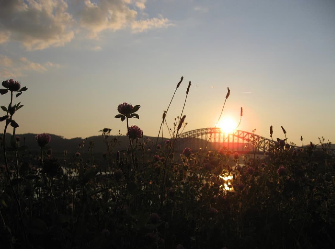 CANON IXUS 800 캐논 익서스 800 빈티지 디지털카메라 디카 상품이미지4