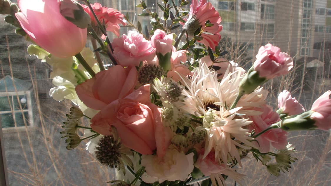 (살구맛)Casio Exilim EX-Z270 디카 상품이미지3