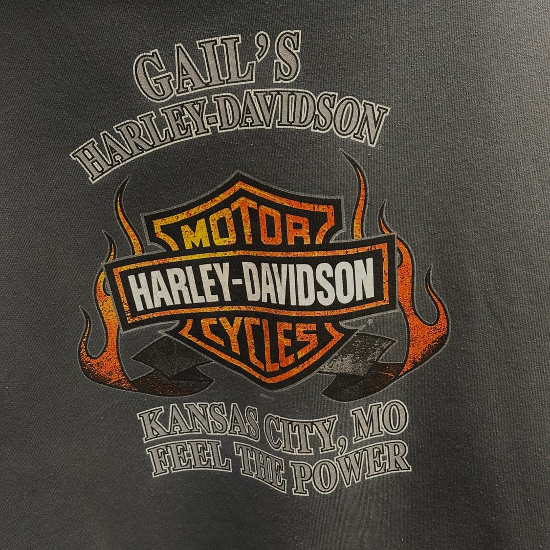 할리데이비슨 플레임 후드집업 (2XL-3XL) 상품이미지5