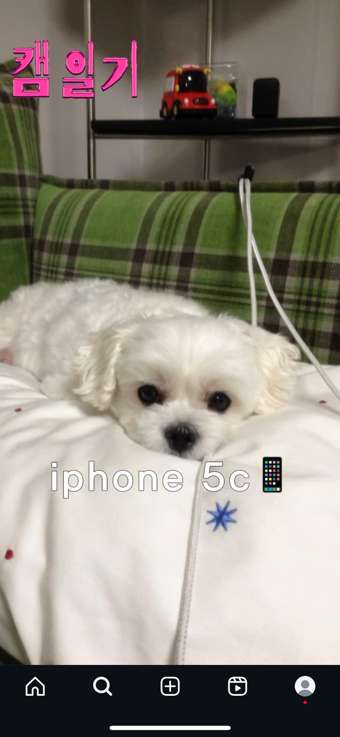 아이폰 5c 화이트 무음 상품이미지6