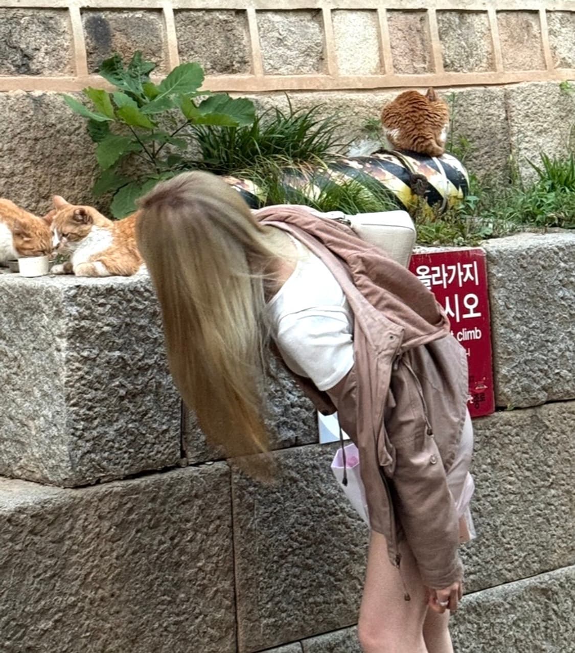 밸리걸 후드집업 자켓 인디핑크 상품이미지1