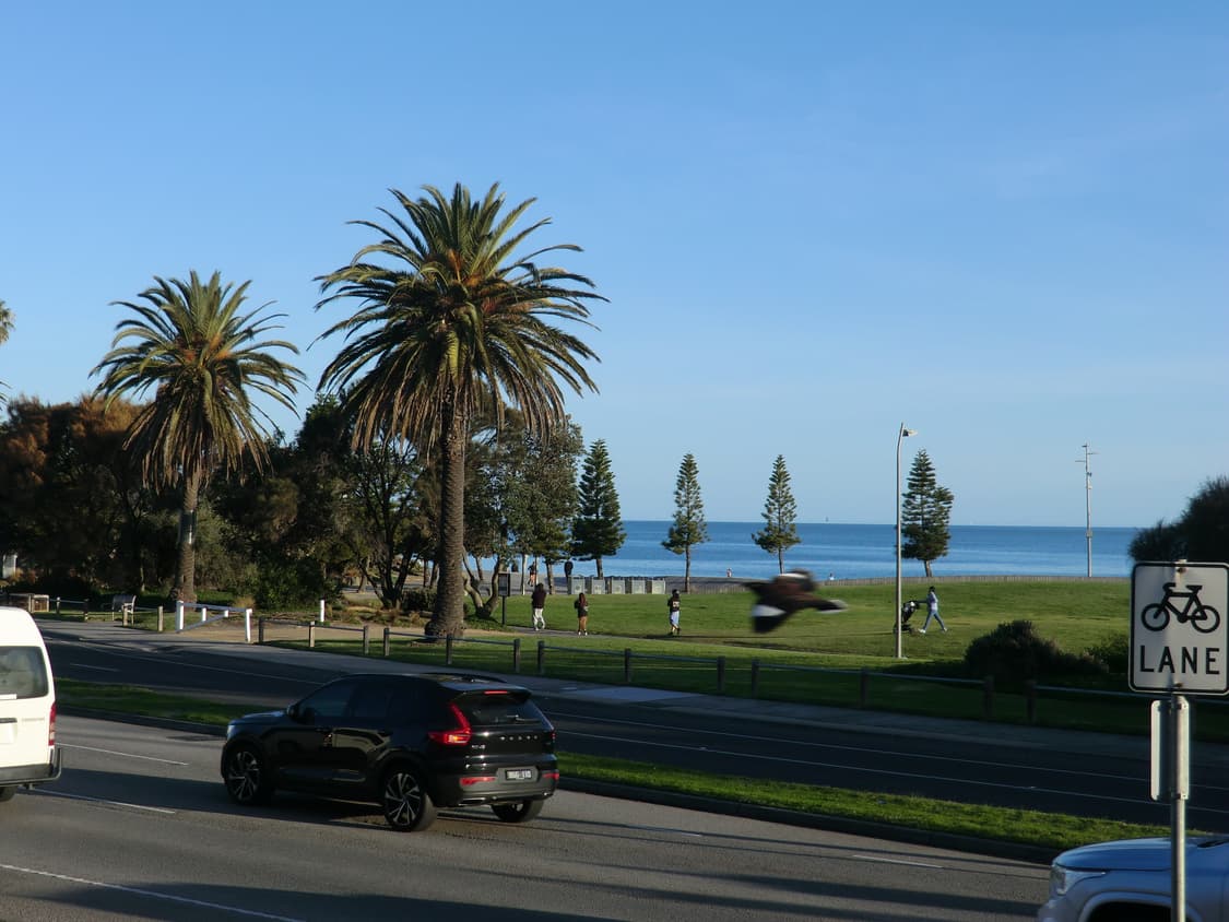 카시오 엑슬림 H15 (작례有) 상품이미지8