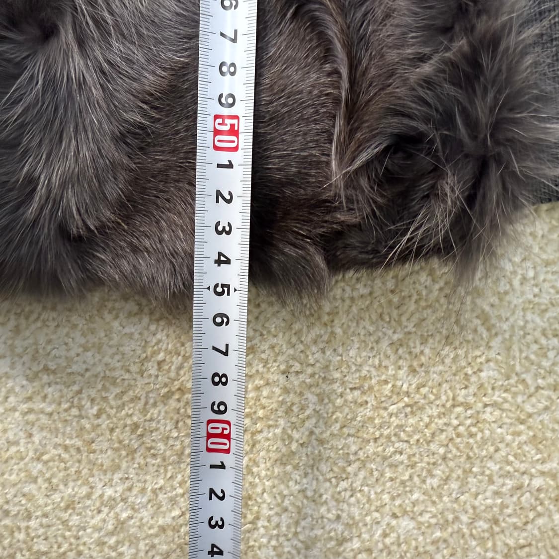 [95] 빈티지 여성 울 조끼 0106T1 상품이미지4