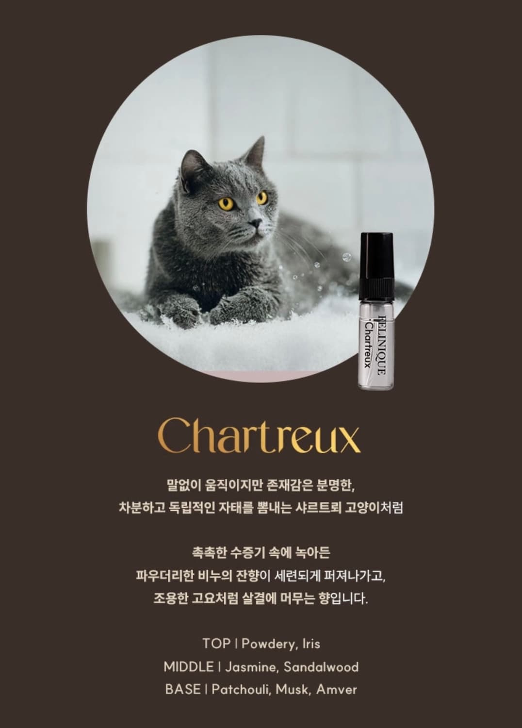 [국문택] 펠리니크 샤르트퇴 오 드 퍼퓸(3ml) 상품이미지3