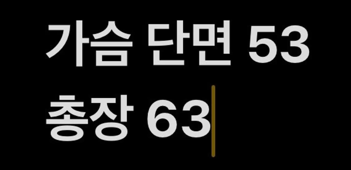 [정품/95] 아디다스 스카이블루 블랙 트랙탑 져지 b17 상품이미지8