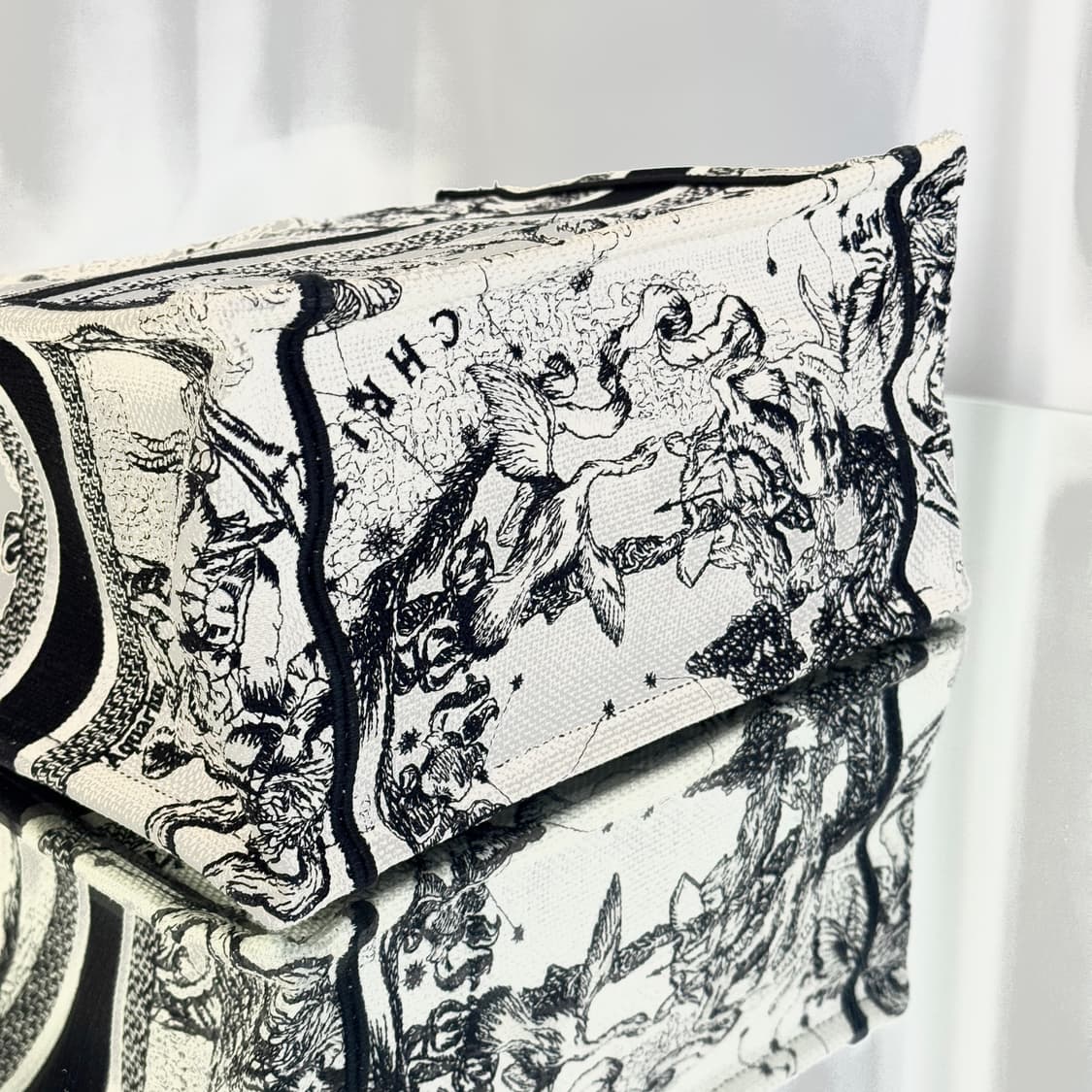 디올 북토트백 조디악 화이트 미디움 상품이미지9