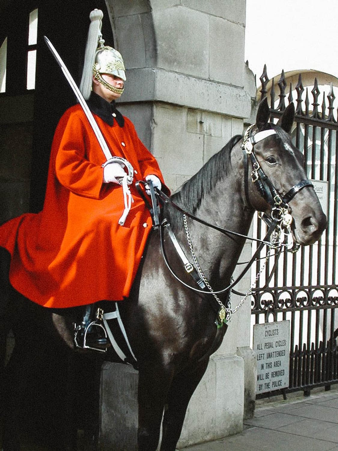 Nikon Coolpix S1 (니콘 쿨픽스 S1) 상품이미지9