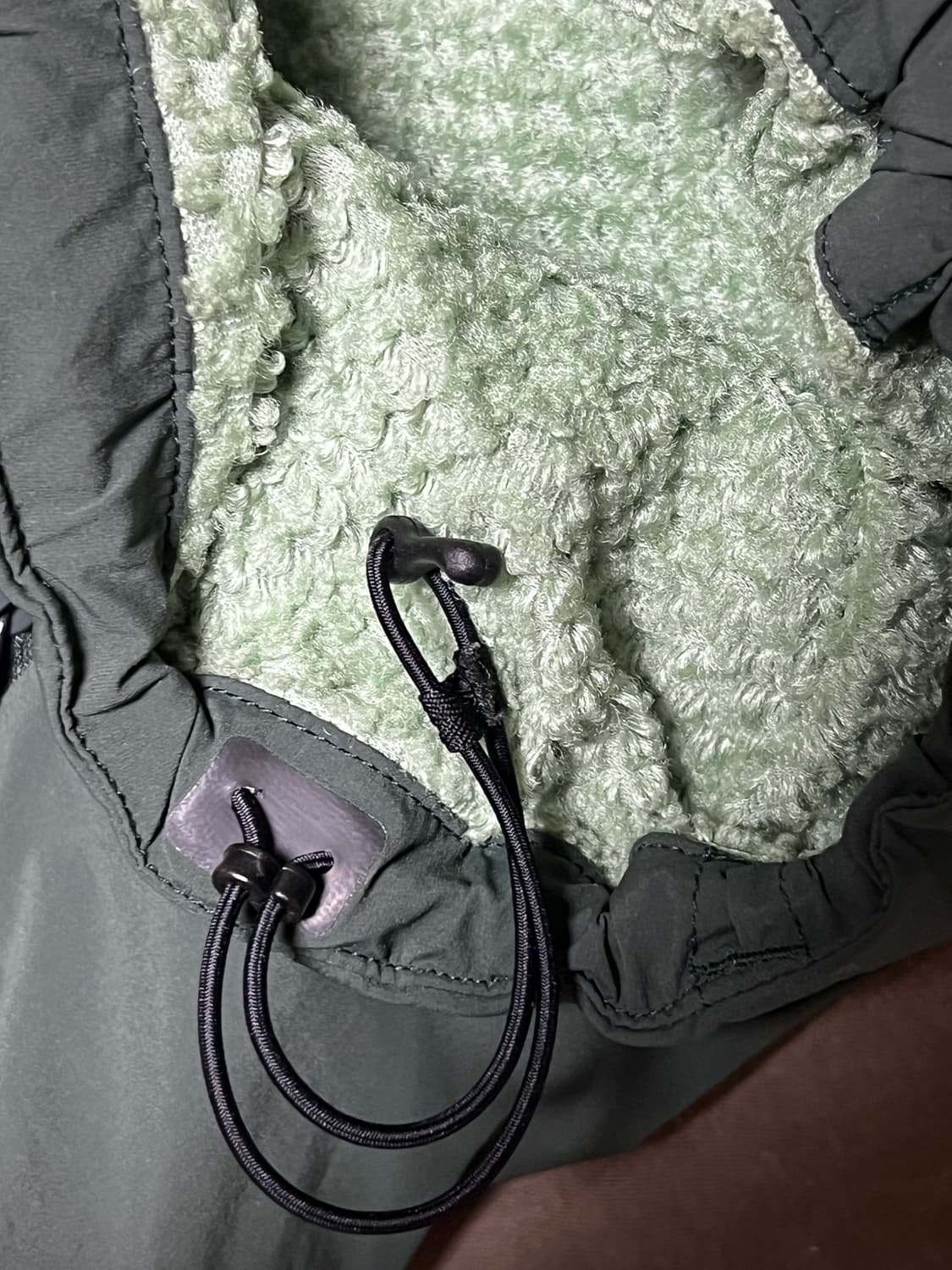 아크테릭스 프로톤 FL 후디 상품이미지7