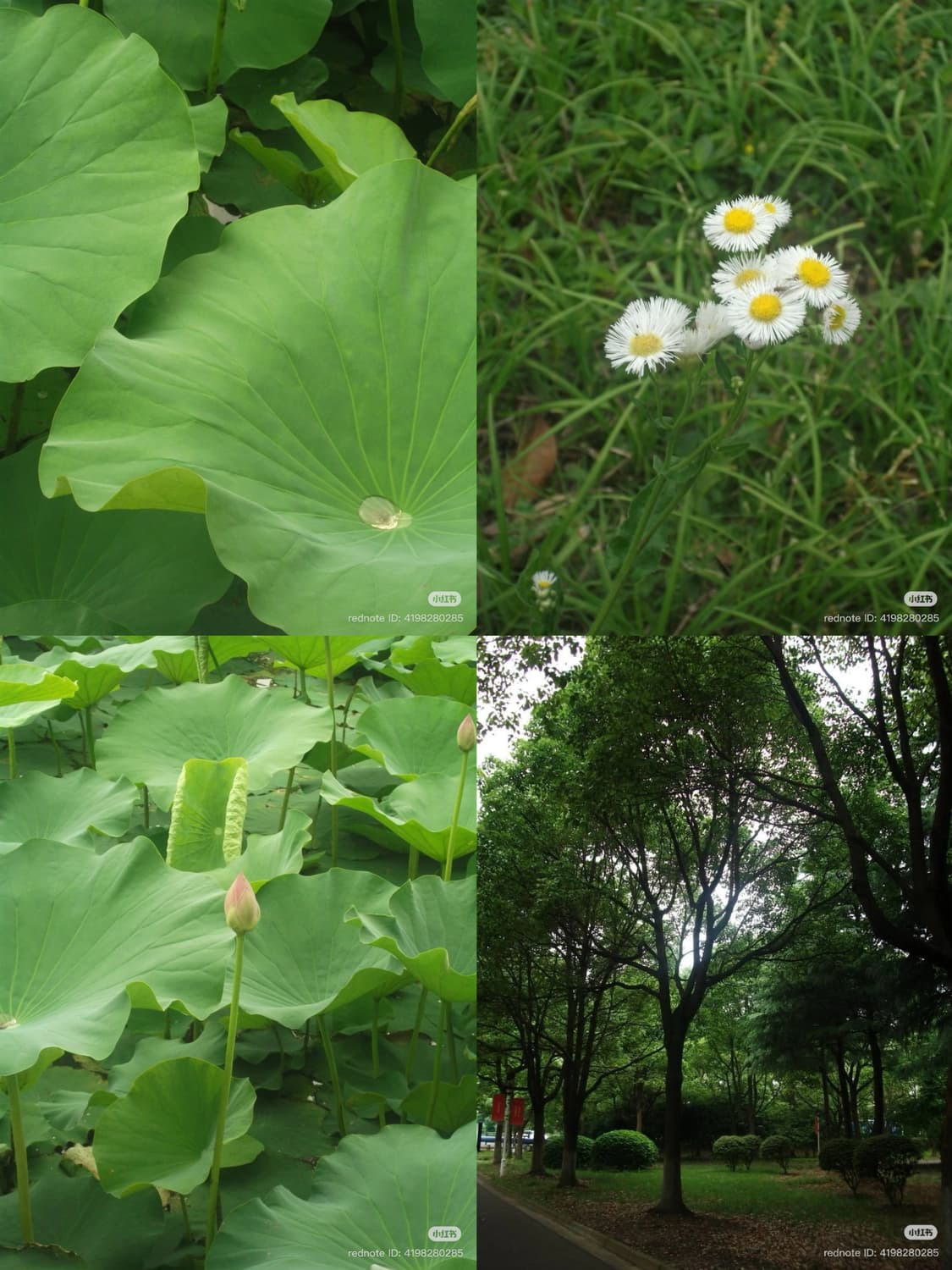 민트급,박스) 후지필름 파인픽스 a160 상품이미지7