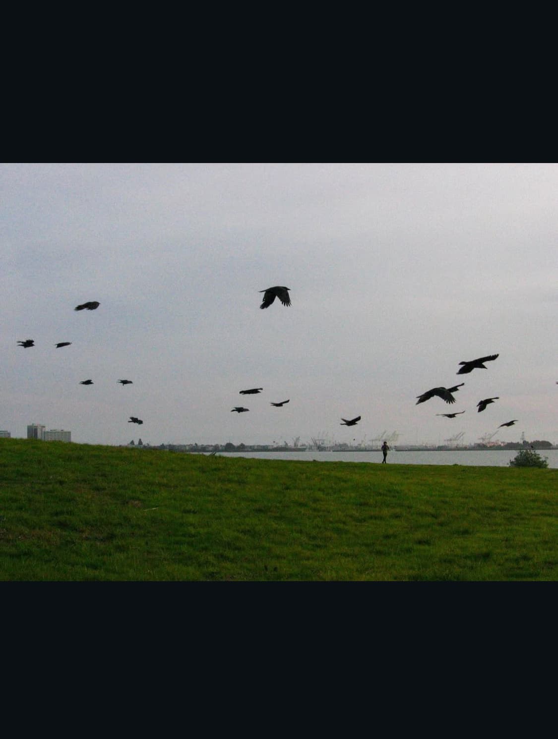 캐논 파워샷 a510 디지털카메라 상품이미지10