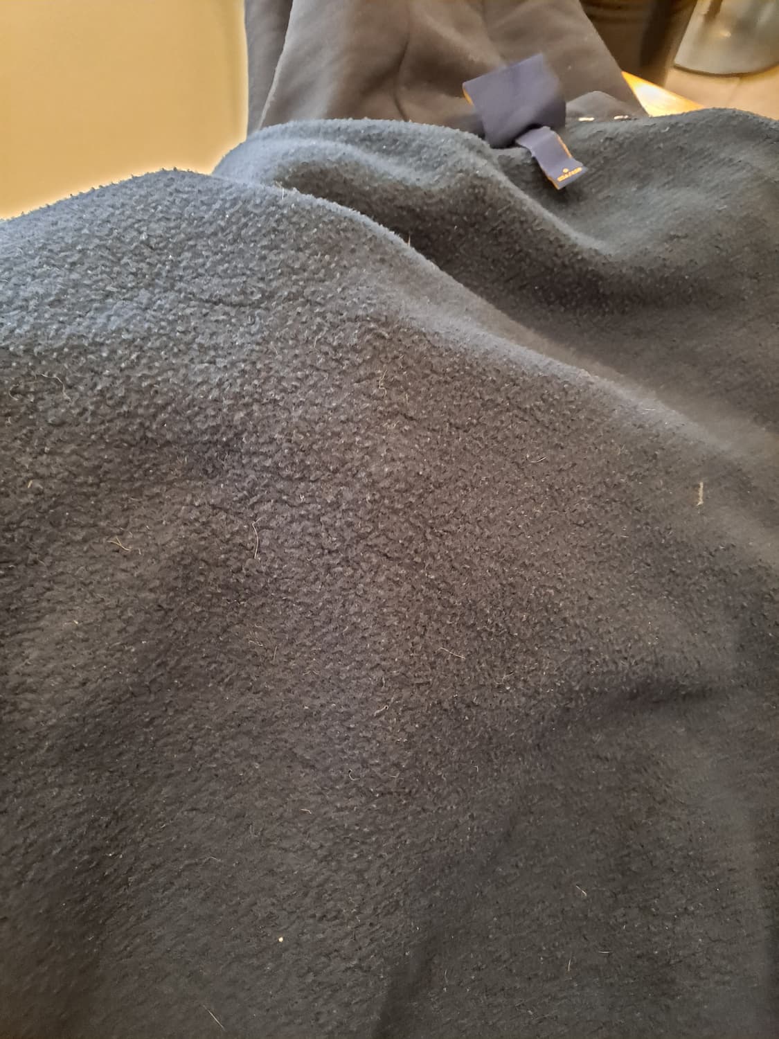 Lee 부클 트위치 로고 후드 S 상품이미지5