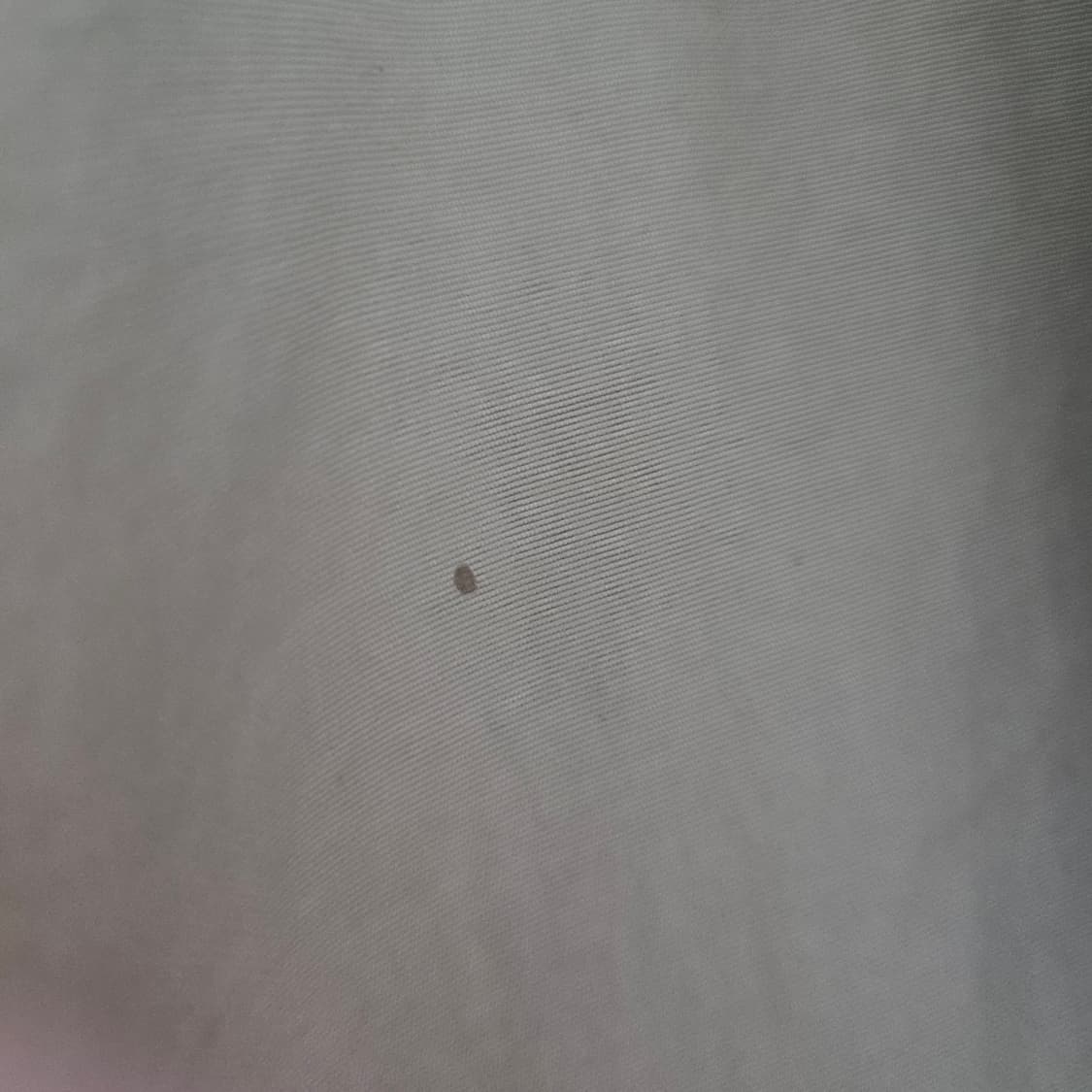 wws 양키스 올드스쿨 점퍼 상품이미지5