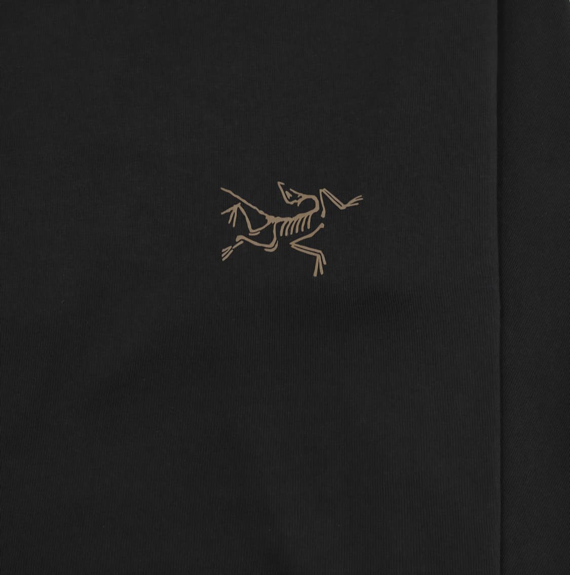 아크테릭스 크래그 코튼 롱슬리브 티셔츠 24K 블랙 상품이미지2