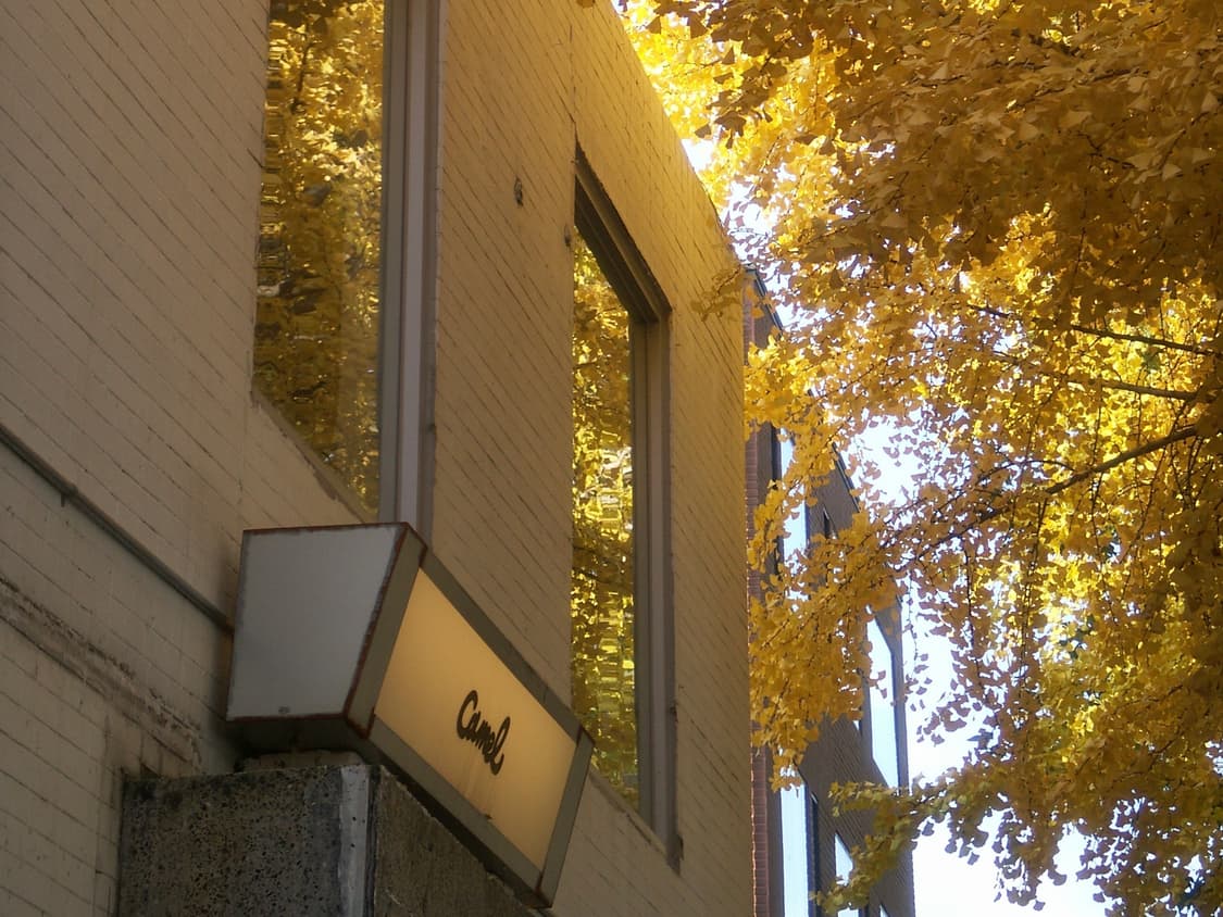 코니카 미놀타 디미지 x1 / minolta dimage x1 상품이미지9