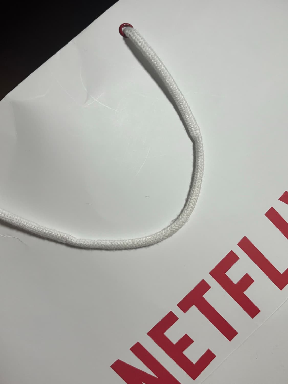 Patagonia x netflix 백팩 상품이미지3