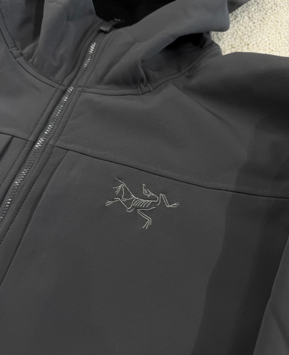 아크테릭스 감마 후디 블랙 L 상품이미지2