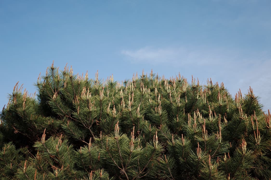 리코 GR2 디지털카메라 풀세트(카메라,베터리,충전기,스트랩,파우치 등) 상품이미지6
