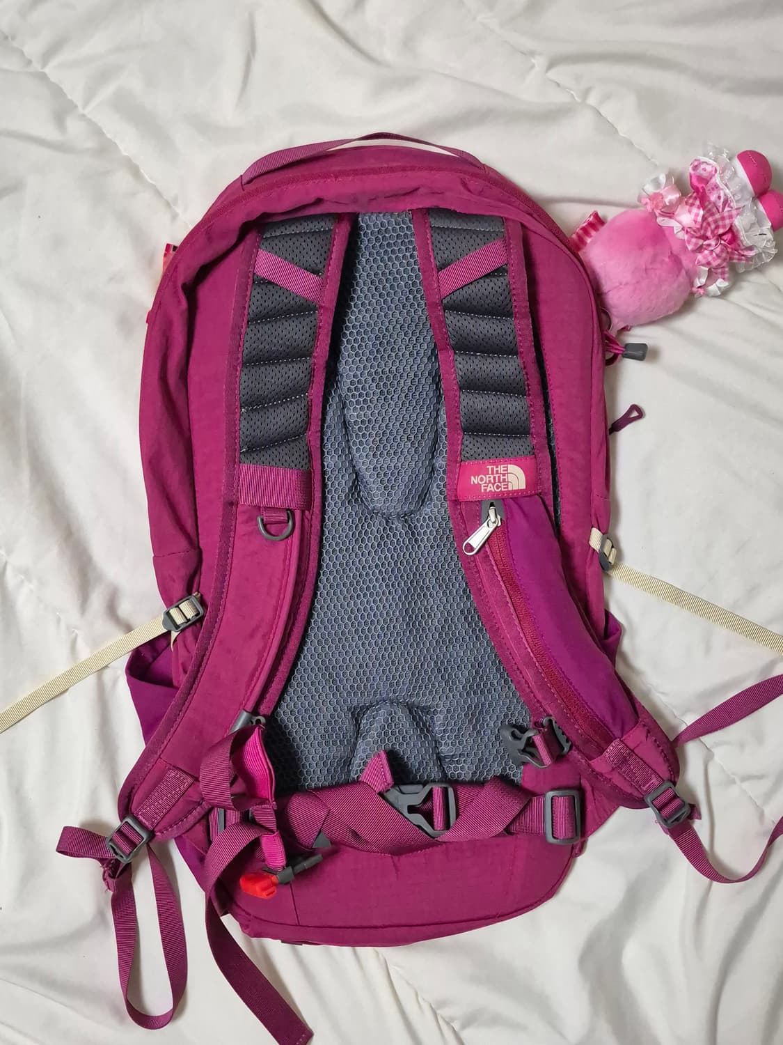 노스페이스 핑크 백팩 20l 상품이미지2