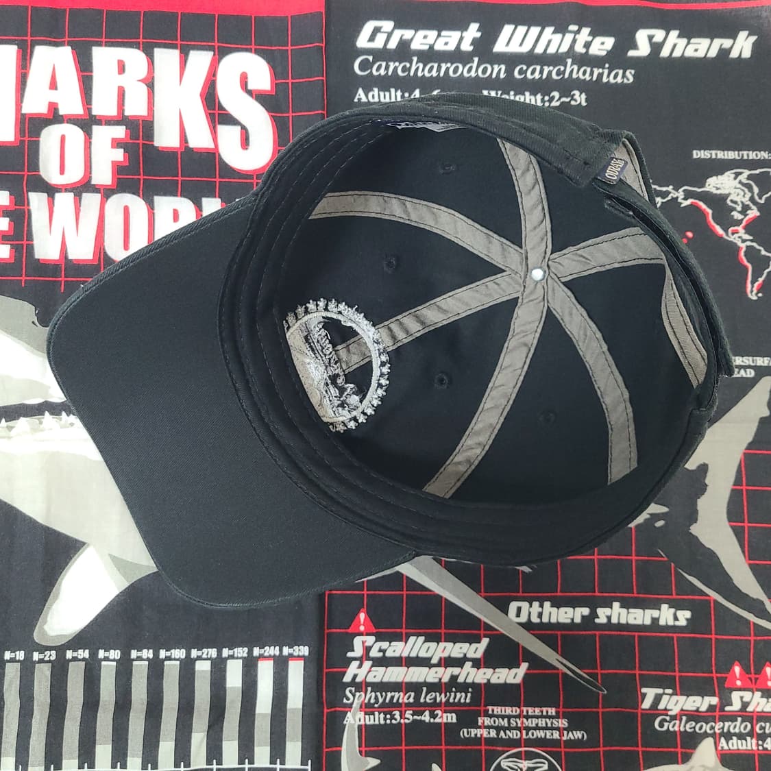 90s~00s 빈티지 파라마운트 픽쳐스 영화사 할리우드 프로모 모자 볼캡 상품이미지8