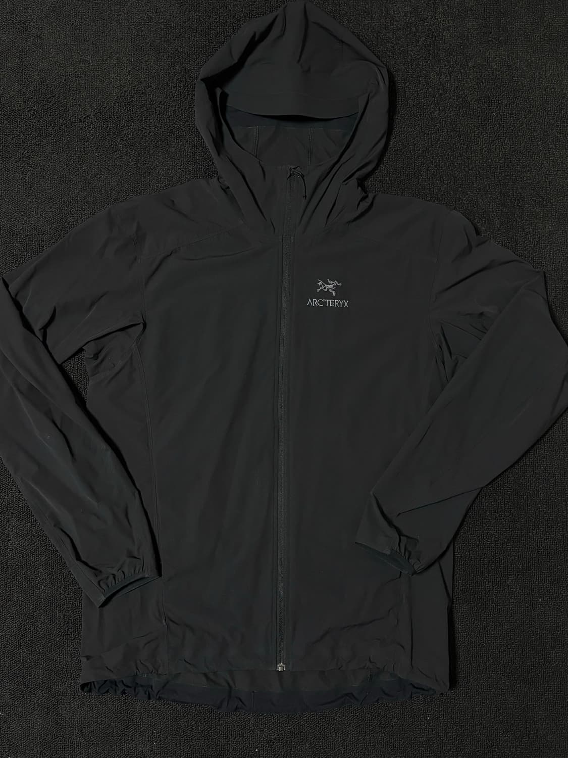 아크테릭스 감마 SL 후디 블랙 상품이미지1